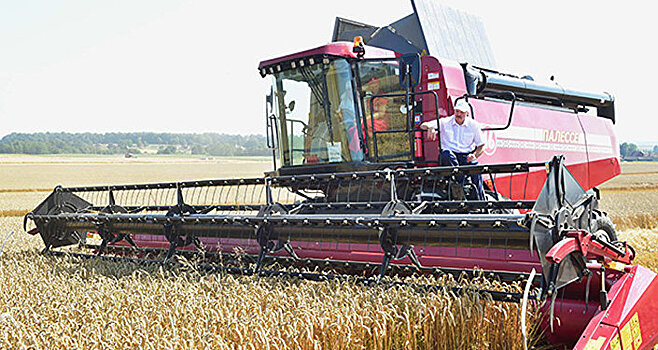 "Каравай" в 10 млн тонн зерна будет в этом году у белорусов
