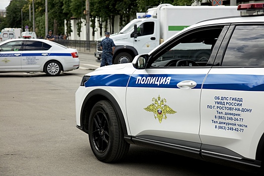 На Дону по горячим следам задержали подозреваемого в повреждении автомобилей