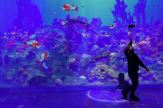 Иммерсивные технологии — что это такое и как они решают бизнес-задачи?