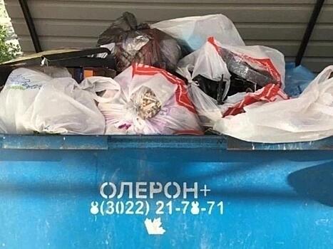 «Олерон+» не вывозил мусор жителей села Малеты