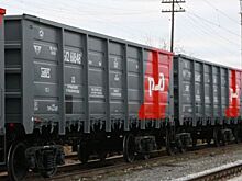 Порты России отгрузили в 1,2 раза меньше тонн масличных культур и продуктов переработки в мае