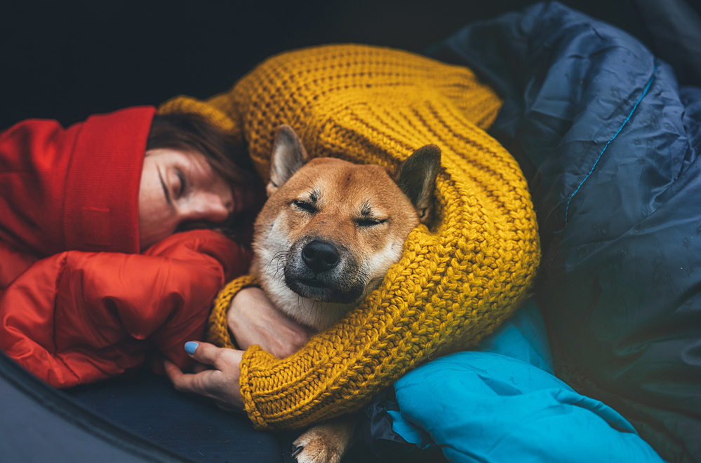 Совместный сон с питомцами за и против — Рамблер/женский