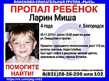 4-летний Миша Ларин пропал в Богородске