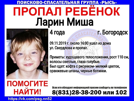 4-летний Миша Ларин пропал в Богородске