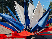 День народного единства в Самаре: программа мероприятий в Струковском саду