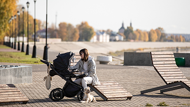 В Госдуме высказались о скандальной идее улучшить демографию