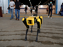 Hyundai собрался купить производителя роботов Boston Dynamics