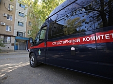 Александр Бастрыкин поручил возбудить дело по факту драки подростков в Волгограде