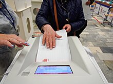 Выборы в Истре привлекли кандидатов из Ногинска и регионов России