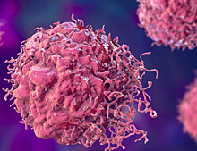 Мутации в 100 раз повышают эффективность Т-клеток против рака