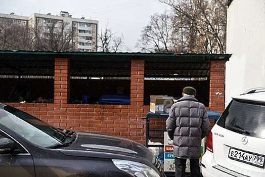 Москвичам рассказали, как правильно сортировать новогодний мусор