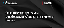 Стала известна программа кинофестиваль «Литература и кино» в Гатчине