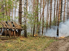 МЧС просит свердловчан не тушить пожары самостоятельно. Помощь действительно не нужна?