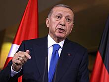 Эрдоган назвал главного виновника конфликта США и Ирана