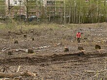На ГПЗ-24 начали готовить участок под строительство нового ФОКа