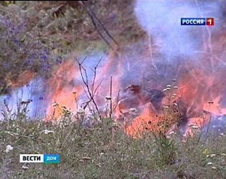 В Ростовской области объявлена чрезвычайная пожароопасность