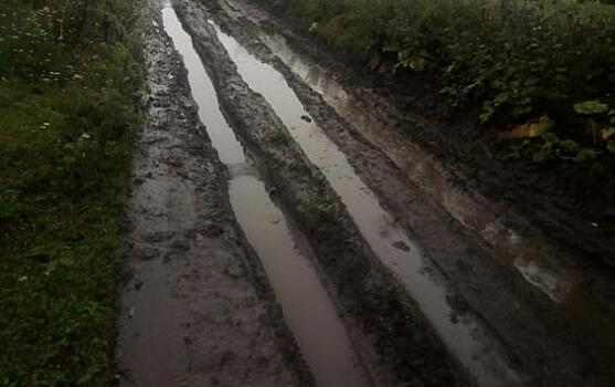 Жительница Курского района несколько лет пытается решить «дорожную» проблему в селе