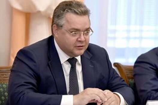 Владимира Владимирова поддержат непарламентские партии Ставрополья