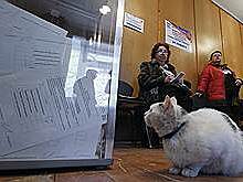 На участки есть кому посмотреть
