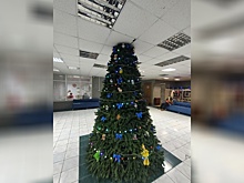 Елка в саровском Доме молодежи проткнула потолок