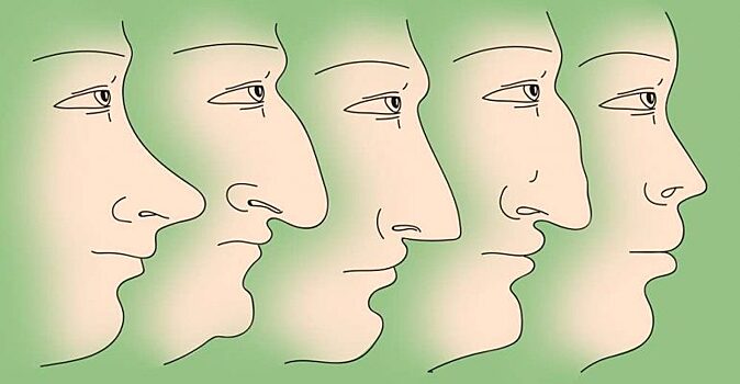 Какие секреты может рассказать ваш нос