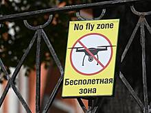 В России в 2,5 раза вырос спрос на защиту от БПЛА