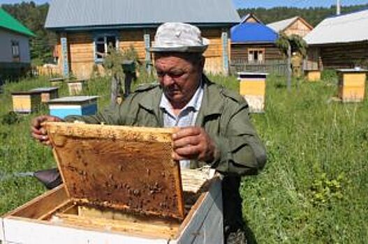 Национальный парк «Башкирия» приглашает пчеловодов на медовый фестиваль