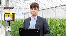 Техподдержка ульев: как российский AgroTech-стартап спасает урожаи