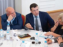 Вопросы демографической политики обсудили по инициативе Глеба Никитина на заседании Регионального совета