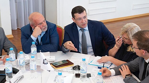 Вопросы демографической политики обсудили по инициативе Глеба Никитина на заседании Регионального совета