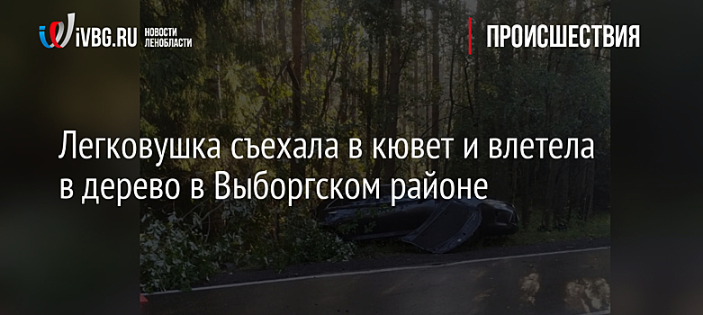 Легковушка съехала в кювет и влетела в дерево в Выборгском районе