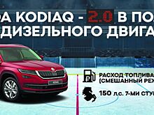 ŠKODA KODIAQ 2.0 в пользу дизельного двигателя