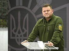 В США назвали увольнение Залужного «политической авантюрой»