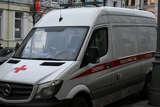 Двое москвичей попали в больницу после драки в деревне под Коломной