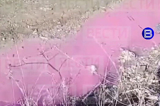 Прокуратура выясняет причину появления «сиреневой реки» возле улицы Большой в Новосибирске