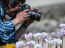 Эксперт Пилиева: Начинающим фотографам лучше учиться очно, а не онлайн