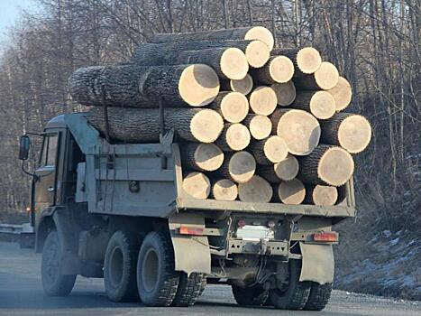 Лесопромышленники переходят все границы до полного запрета