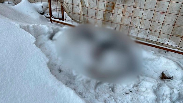 На востоке Москвы нашли тело женщины с признаками насильственной смерти