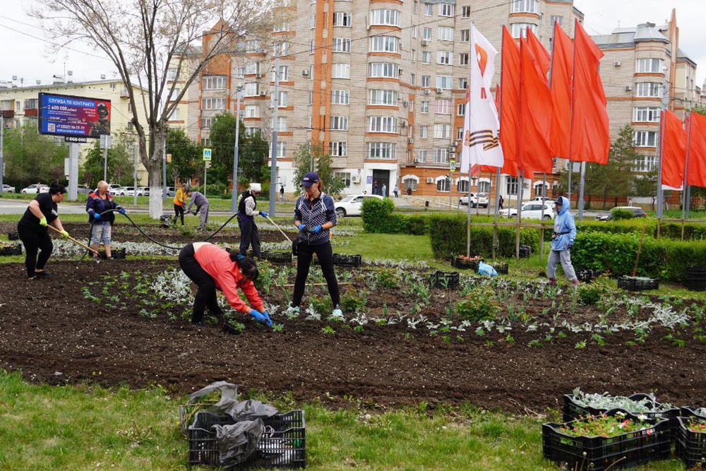 Клумбы Оренбурга продолжают украшать цветами