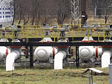 Чехия перестала получать нефть по «Дружбе»