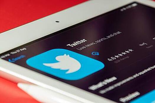 Приостановку покупки Маском акций Twitter оценили