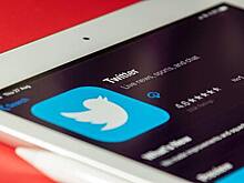 Приостановку покупки Маском акций Twitter оценили