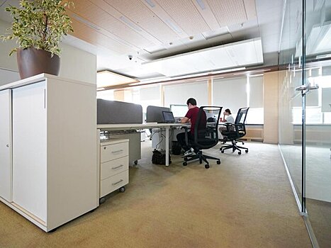 Сенатор Епифанова: работающему в майские праздники сотруднику полагается двойная оплата