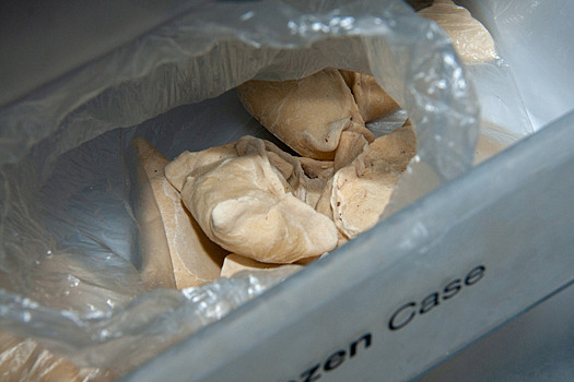 Пьяный врач забралась в холодильник и замерзла насмерть