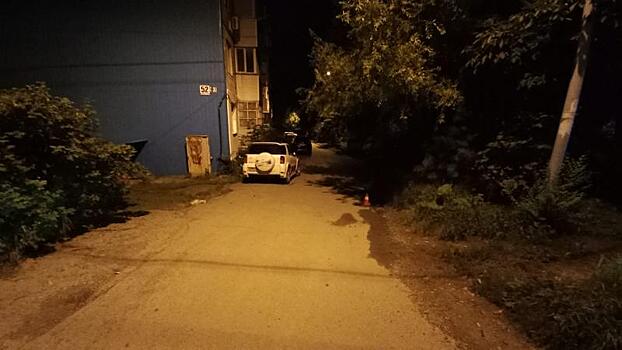 Остались живы: во Владивостоке пожилой водитель совершил наезд на детей