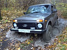 Определены самые популярные кроссоверы ноября