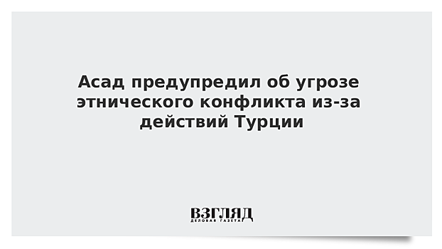 Асад предупредил об угрозе этнического конфликта из-за действий Турции