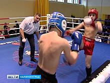 В Калининграде прошёл турнир по кикбоксингу