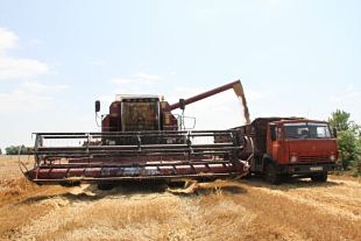 Урожай зерновых начали собирать на востоке Ставрополья