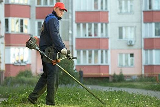 В Орле отчитались о покосе травы